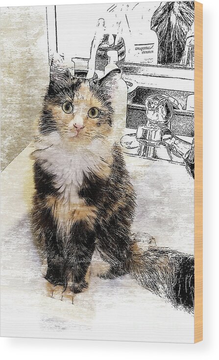 Cat Wood Print featuring the digital art What are you doin? by Deb Nakano