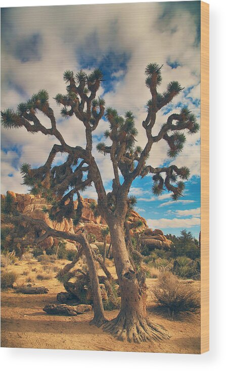 Joshua Tree National Park Wood Print featuring the photograph What I Wouldn't Give by Laurie Search