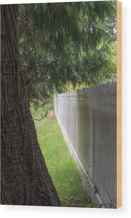 Oregon Coast Wood Print featuring the photograph White Fence And Tree by Tom Singleton