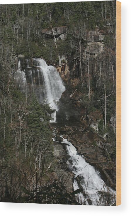 White Wood Print featuring the photograph Whitewater Falls by Cathy Harper