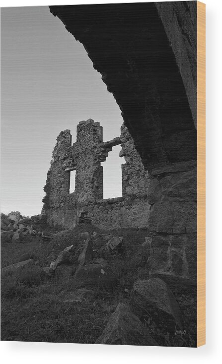 Whites Wood Print featuring the photograph Whites Factory Ruins II by David Gordon