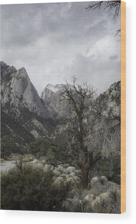 Mount Whitney Wood Print featuring the photograph Whitney Portal by Dusty Wynne
