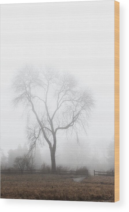 Weather Wood Print featuring the photograph Wickapogue Fog by Steve Gravano