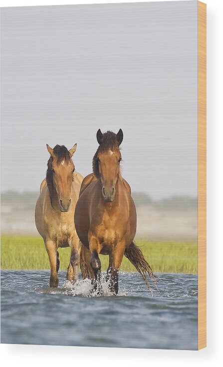 Wild Wood Print featuring the photograph Wild Horses by Bob Decker