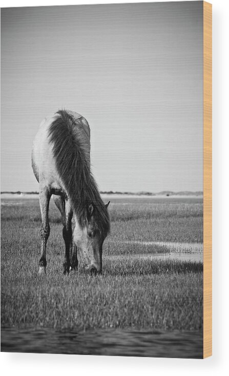 Wild Wood Print featuring the photograph Wild Mustang by Bob Decker