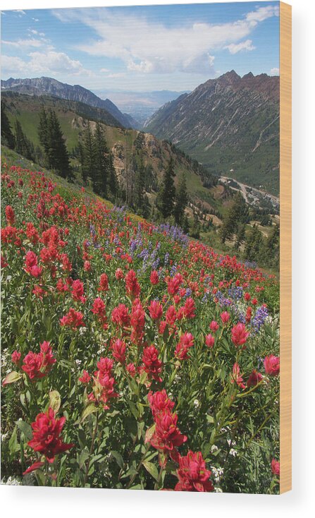 Landscape Wood Print featuring the photograph Wildflowers and View Down Canyon by Brett Pelletier