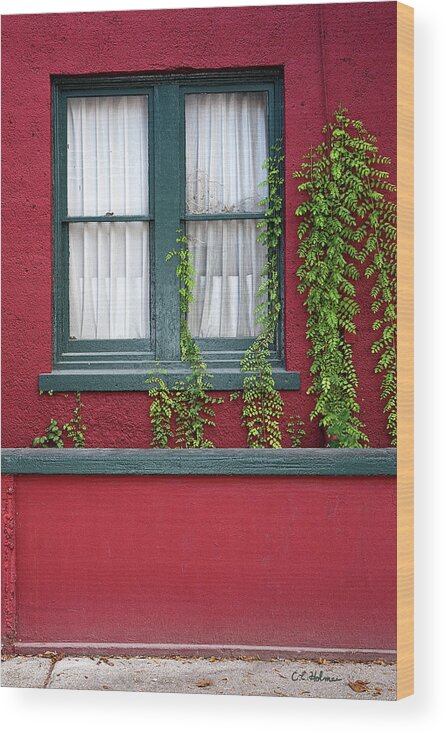 Window Wood Print featuring the photograph Window and VInes by Christopher Holmes