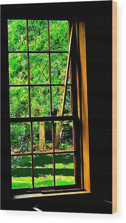 Window Wood Print featuring the photograph Window To My World by Ian MacDonald