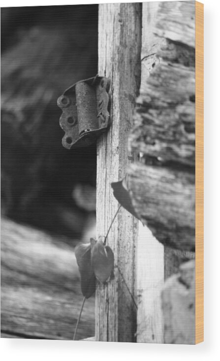 Ansel Adams Wood Print featuring the photograph Winslow cabin door detail by Curtis J Neeley Jr