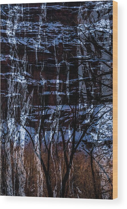 Multiple Exposure Wood Print featuring the photograph Winter Abstract by Deborah Hughes