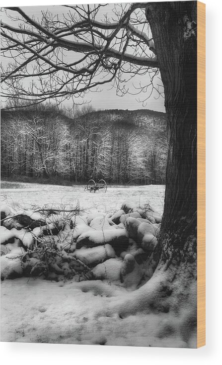 Stone Wall Wood Print featuring the photograph Winter Dreary by Bill Wakeley