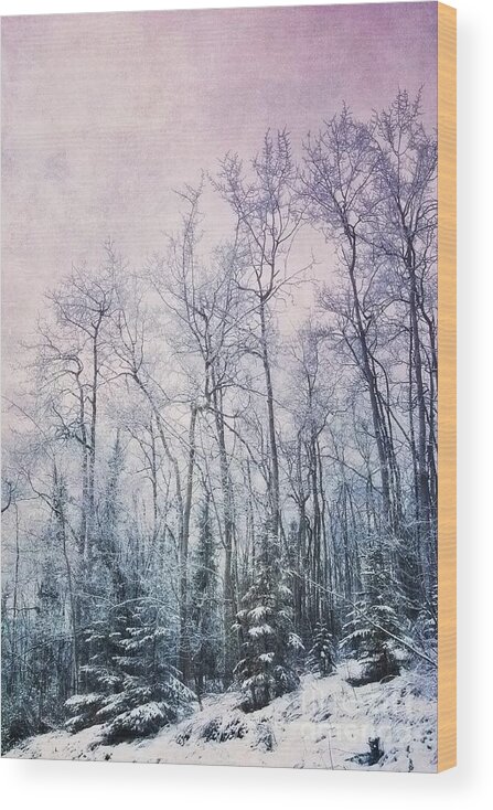 Forest Wood Print featuring the photograph Winter Forest by Priska Wettstein