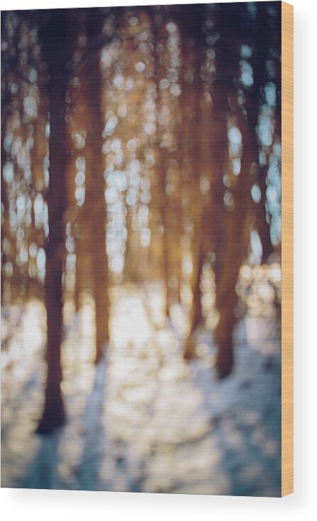 Snow Wood Print featuring the photograph Winter in Snow by Amber Flowers