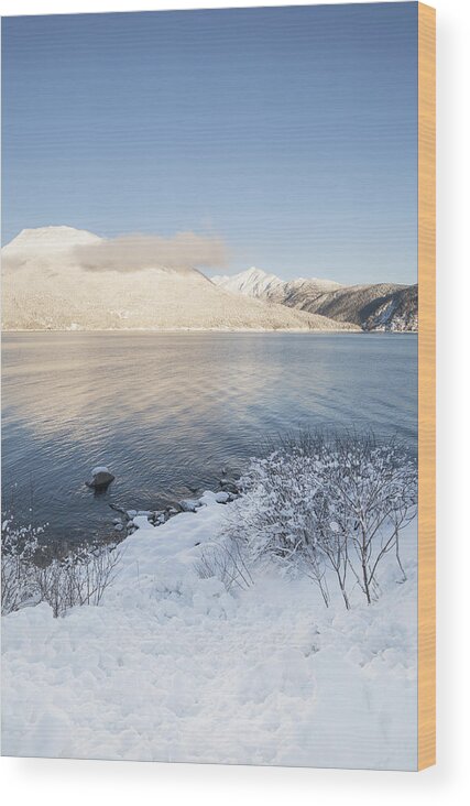 Alaska Wood Print featuring the photograph Winter Light by Michele Cornelius