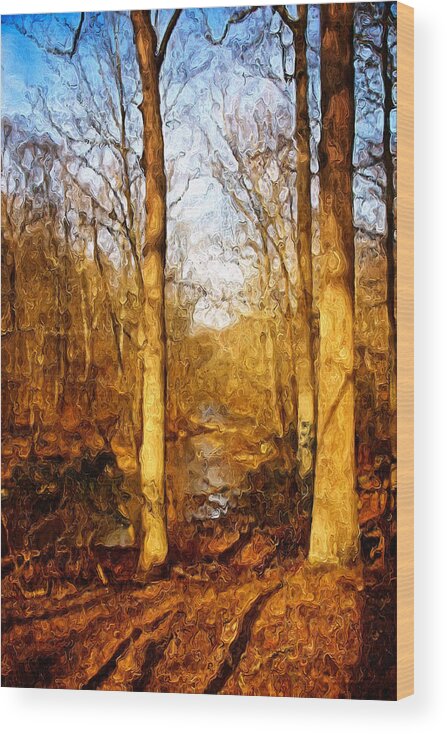 2016 Wood Print featuring the photograph Winter Solstice II by Kathi Isserman