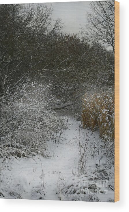 Winter Wood Print featuring the photograph Winter Stew by Jan Piller