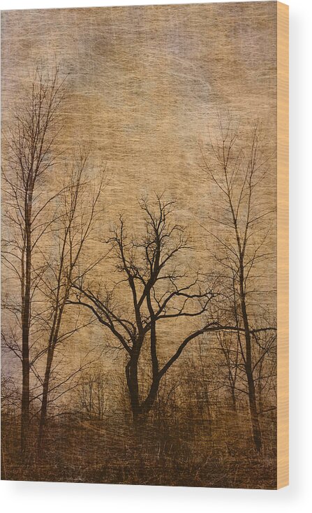 Trees Wood Print featuring the photograph Winter Trees in the Bottomlands 2 by Greg Matchick
