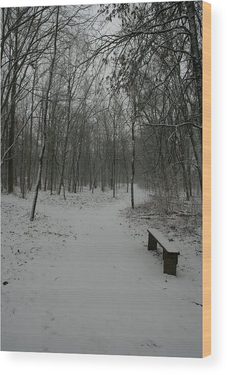 Snow Wood Print featuring the photograph Winter Y by Dylan Punke