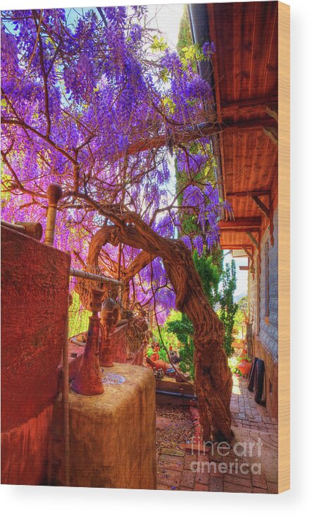 Wisteria Wood Print featuring the photograph Wisteria Canopy in Bisbee Arizona by Charlene Mitchell