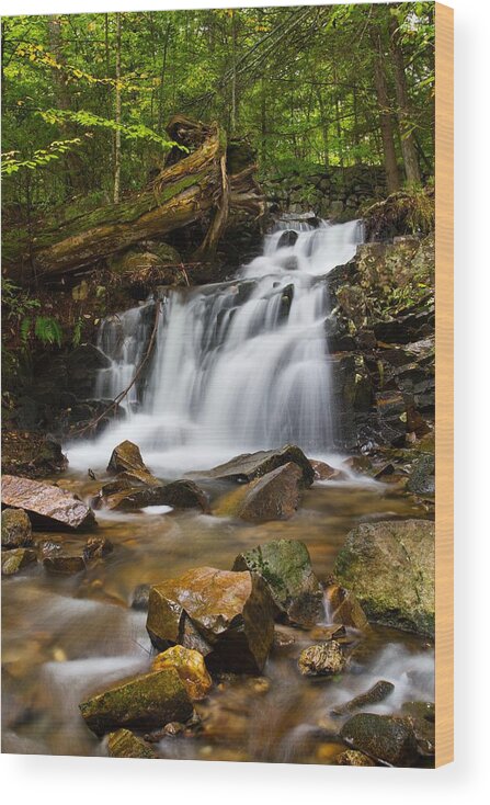Ct Waterfalls Wood Print featuring the photograph Woodland Falls by Mike Farslow