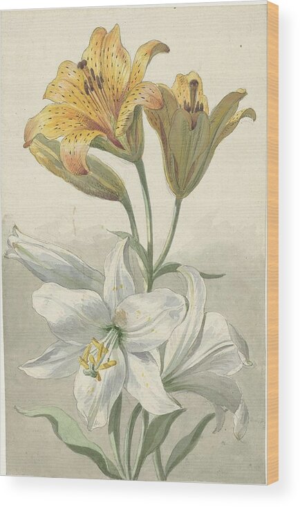 Yellow And White Lilies Wood Print featuring the painting Yellow and White Lilies by Willem van