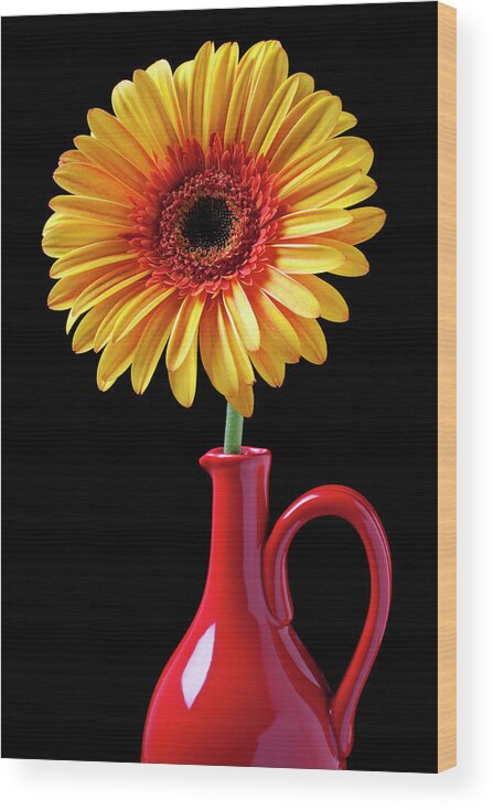 Mums Wood Print featuring the photograph Yellow fancy daisy in red vase by Garry Gay