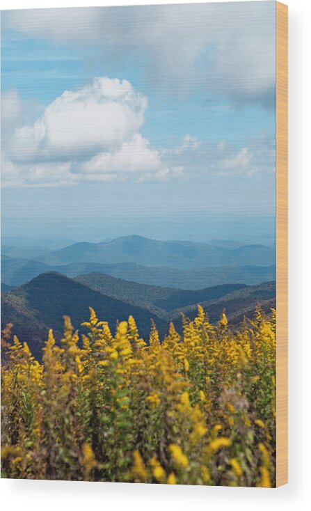Blue Ridge Mountain Wood Print featuring the photograph Yellow flowers along the Blue Ridge Mountains by Kim Fearheiley