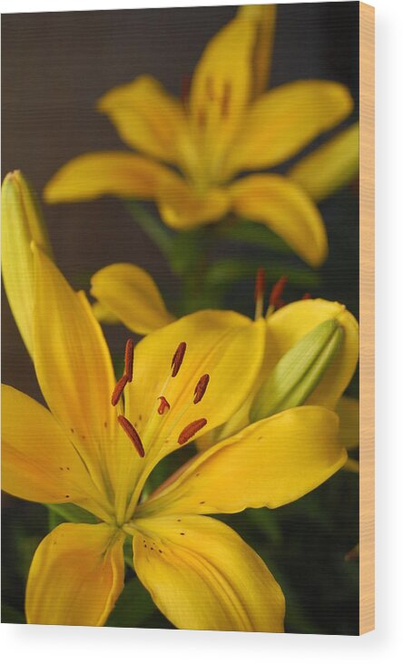 Flower Wood Print featuring the photograph Yellow Lily Mirror by Amy Fose