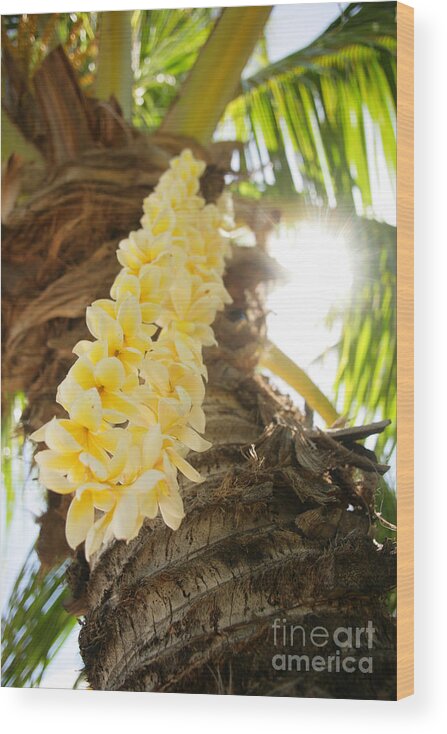 Beautiful Wood Print featuring the photograph Yellow Plumeria by Sri Maiava Rusden - Printscapes