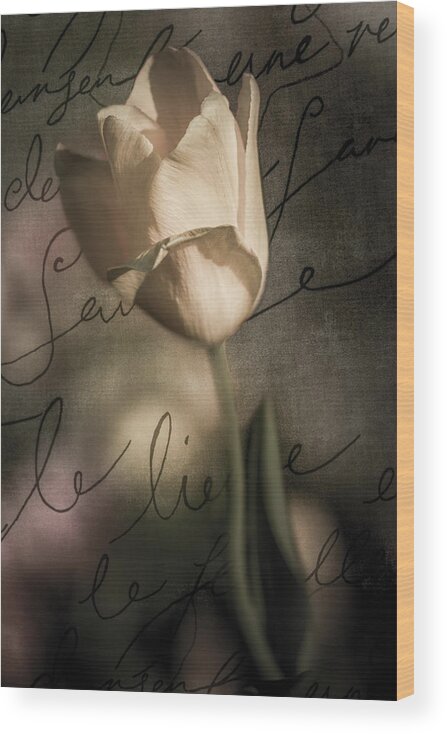 Blur Wood Print featuring the photograph Yellow Tulip Love Letter Muted by Michael Arend