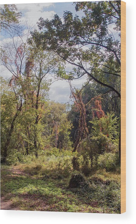 Landscape Wood Print featuring the photograph Yesterdays by John Rivera