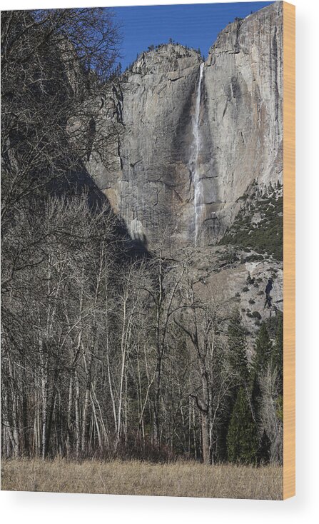 California Wood Print featuring the photograph Yosemite Falls by Adam Rainoff