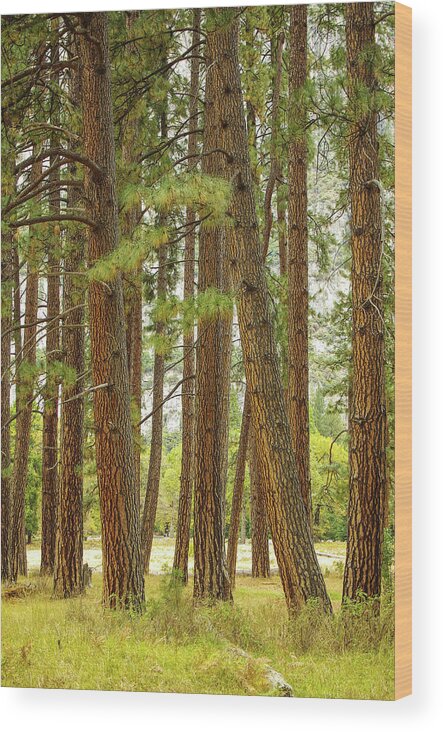 Yosemite Wood Print featuring the photograph Yosemite by Jim Mathis