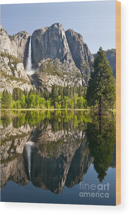 Yosemite Falls Wood Print featuring the photograph Yosemite National Park, Springtime by Inga Spence