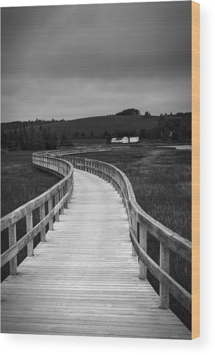 2015 Wood Print featuring the photograph You Always Bring Me Back Home by Sandra Parlow