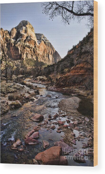 Zion National Park Wood Print featuring the photograph Zion by Heather Applegate