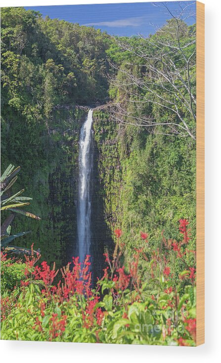 Akaka Falls Wood Print featuring the photograph Akaka Falls #1 by Jim West