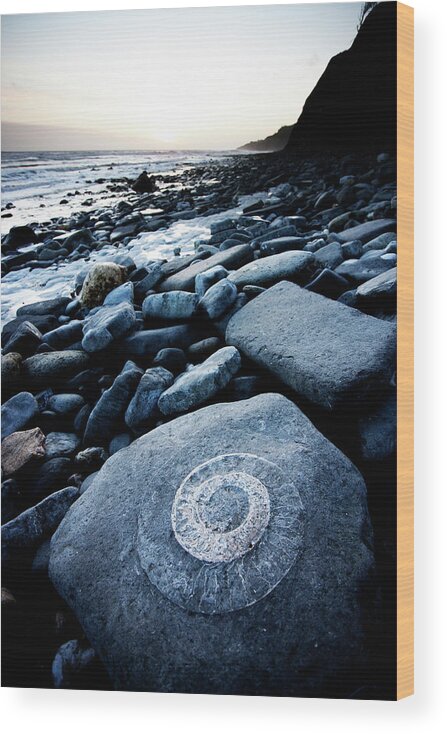 Water's Edge Wood Print featuring the photograph Ammonite In Rock #1 by Urbancow