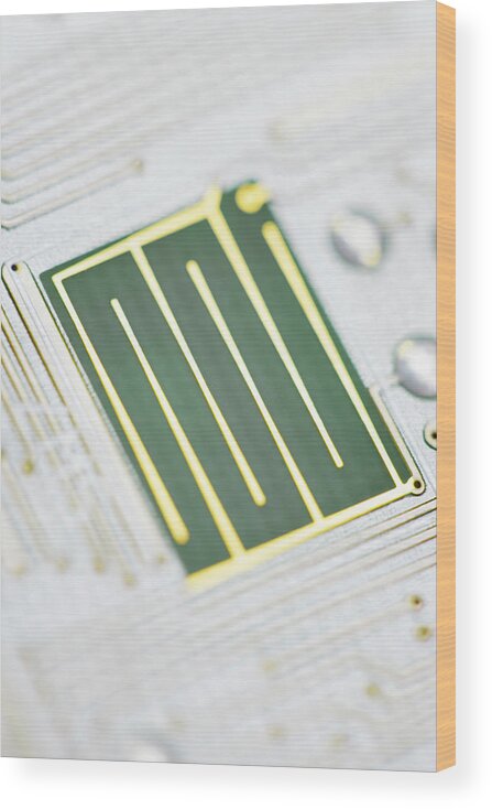 Tin Wood Print featuring the photograph Close-up Of A Circuit Board #1 by Nicholas Rigg