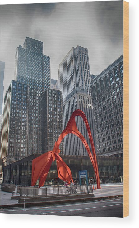 Chicago Wood Print featuring the photograph Flamingo #1 by Lauri Novak