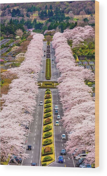 Landscape Wood Print featuring the photograph Fuji Reien Cemetery, Shizuoka, Japan #1 by Sean Pavone