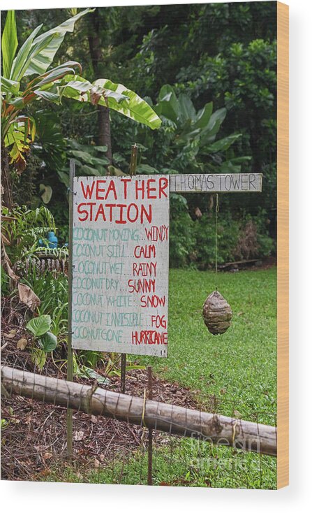 Nobody Wood Print featuring the photograph Homemade 'weather Station' #1 by Jim West/science Photo Library