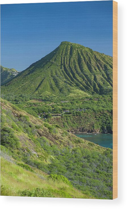 Koko Head Crater Wood Print featuring the photograph Koko Head Crater #1 by David L Moore