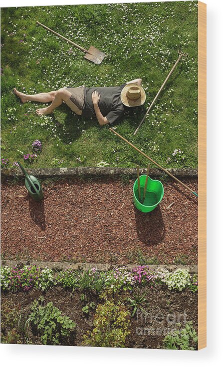 Flowerbed Wood Print featuring the photograph Man Lying In Grass Relaxing #1 by Westend61