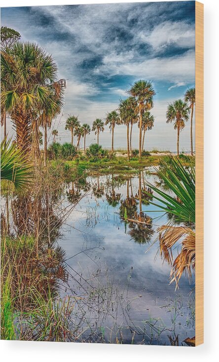 Beach Wood Print featuring the photograph Reflections Of Palm Trees On Hunting Island South Carolina #1 by Alex Grichenko