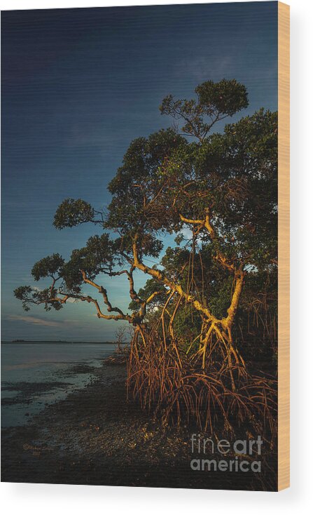 Florida Wood Print featuring the photograph Sunset Light #2 by Marvin Spates
