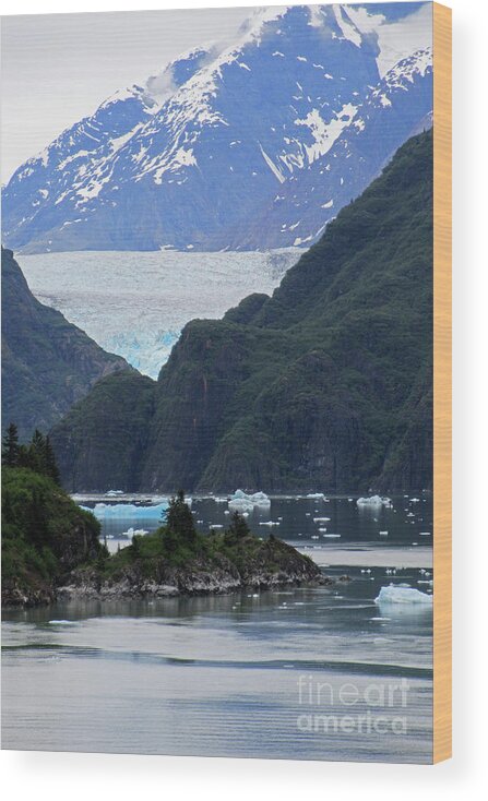 Tracy Arm Wood Print featuring the photograph Tracy Arm 1 #1 by Randall Weidner