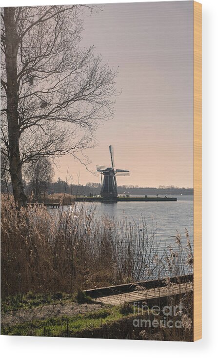Blue Wood Print featuring the photograph Windmill on a lake in the Netherlands by Patricia Hofmeester