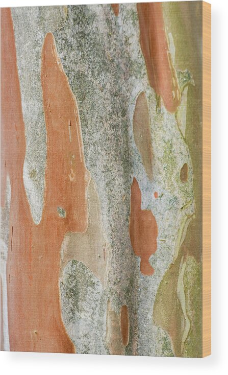 Abstract Wood Print featuring the photograph Washington State, Bellevue #11 by Rob Tilley