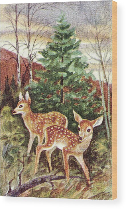 Animal Wood Print featuring the drawing Deer #14 by CSA Images